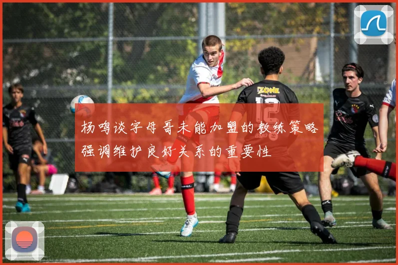 杨鸣谈字母哥未能加盟的教练策略强调维护良好关系的重要性