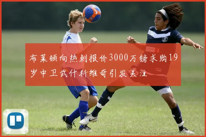 布莱顿向热刺报价3000万镑求购19岁中卫武什科维奇引发关注